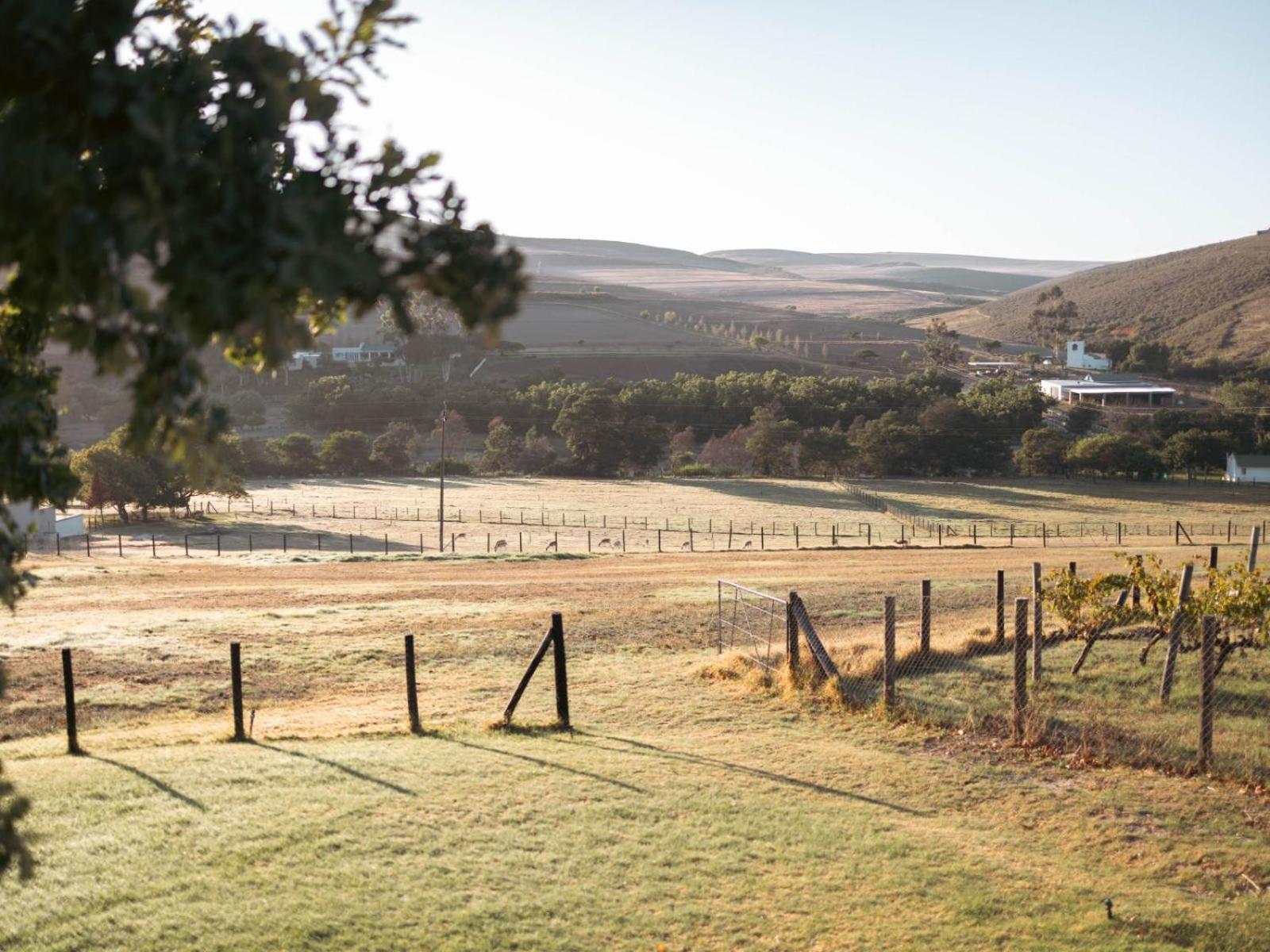 Ou Meul Farm Cottage Botrivier Exterior foto